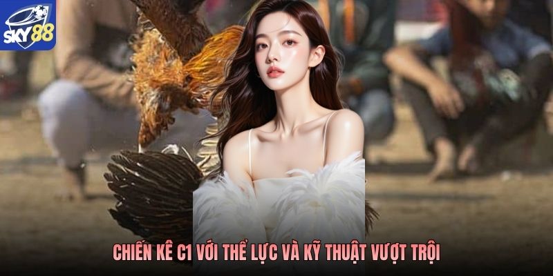Chiến kê C1 với thể lực và kỹ thuật vượt trội