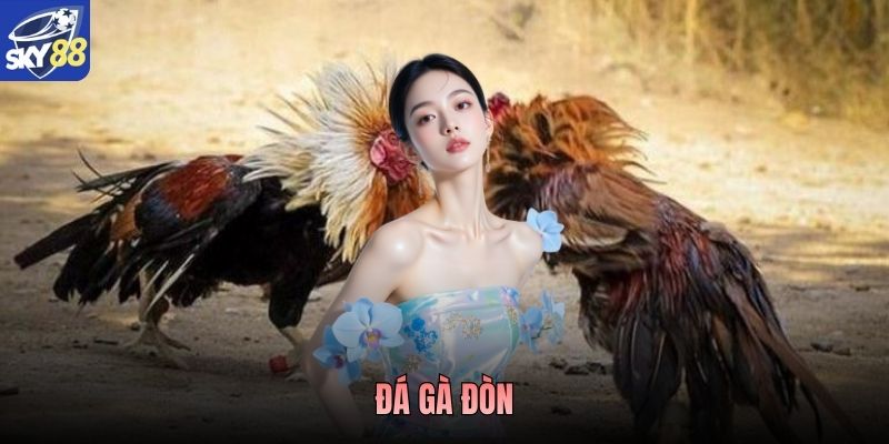 Đá Gà Đòn - Loại Hình Thi Đấu Giàu Tính Chiến Thuật