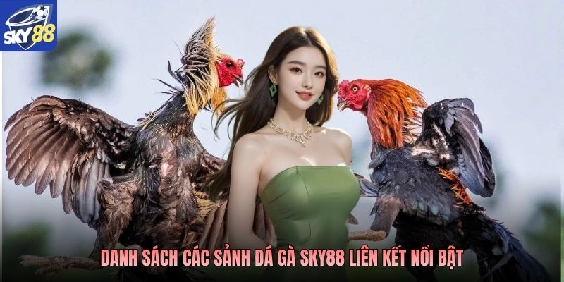 Danh sách các sảnh đá gà SKY88 liên kết nổi bật