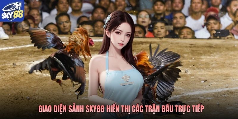 Giao diện sảnh SKY88 hiển thị các trận đấu trực tiếp