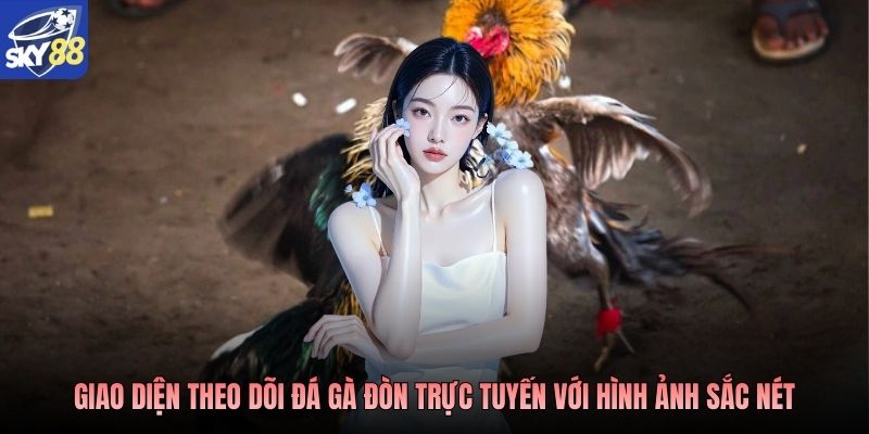 Giao diện theo dõi đá gà đòn trực tuyến với hình ảnh sắc nét
