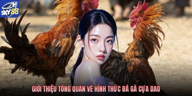 Giới thiệu tổng quan về hình thức đá gà cựa dao