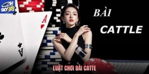 Luật Chơi Bài Catte: Hướng Dẫn Chi Tiết Trải Nghiệm Tại Sky88