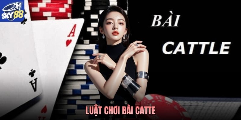 Luật Chơi Bài Catte: Hướng Dẫn Chi Tiết Trải Nghiệm Tại Sky88