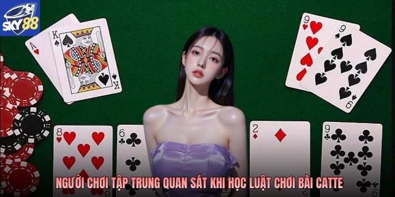 Người chơi tập trung quan sát khi học luật chơi bài Catte