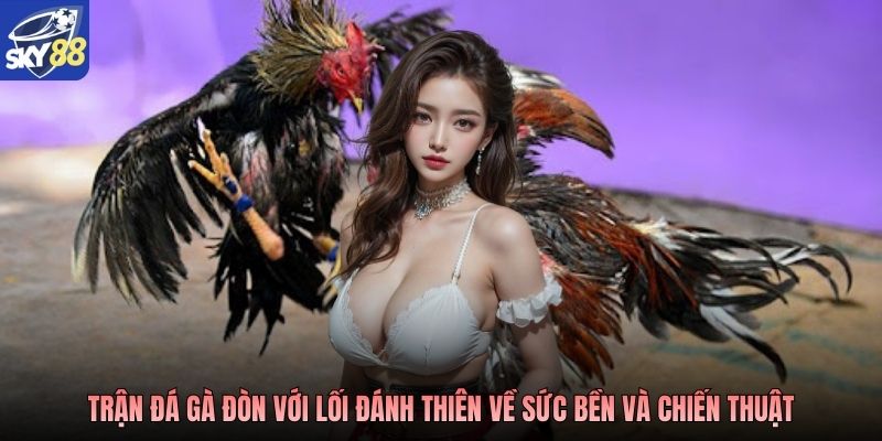 Trận đá gà đòn với lối đánh thiên về sức bền và chiến thuật